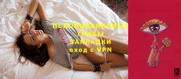 молекула духа Верея
