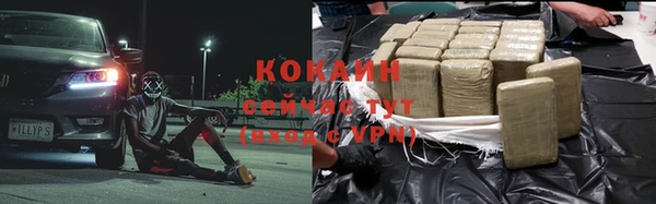 гидра Верхний Тагил