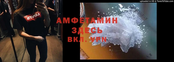 гидра Верхний Тагил