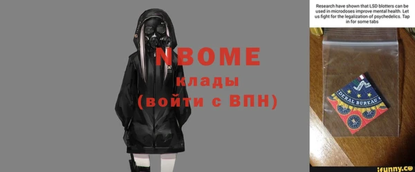 гидра Верхний Тагил