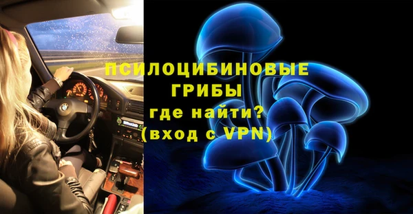 гидра Верхний Тагил