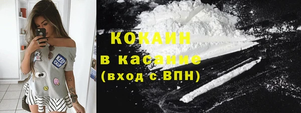 гидра Верхний Тагил