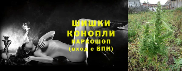 гидра Верхний Тагил