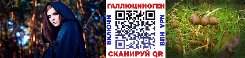 Купить закладки  Вязьма  Псилоцибиновые грибы мухоморы 
